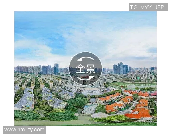 成都羽毛球队阵地战全景解析与未来发展展望