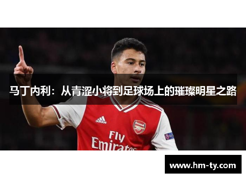 马丁内利：从青涩小将到足球场上的璀璨明星之路